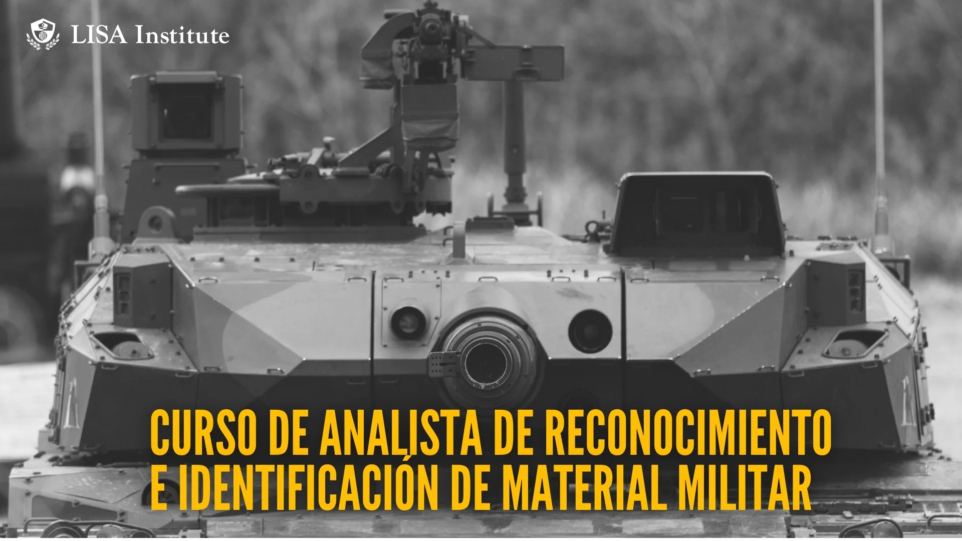 Curso de Analista de Reconocimiento e Identificación de Material Militar - Image 6